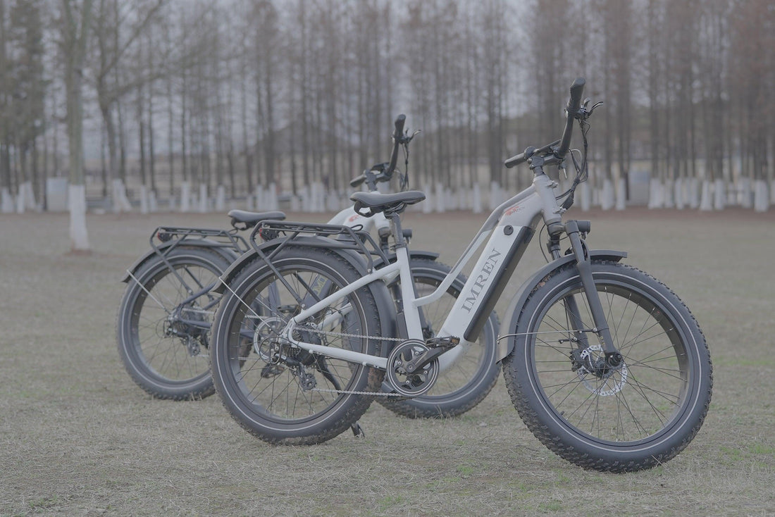 How to Choose an Electric Bike? - IMRENBATTERIES.COM