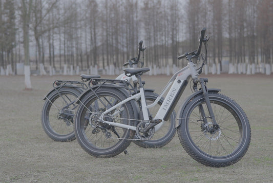 How to Choose an Electric Bike? - IMRENBATTERIES.COM