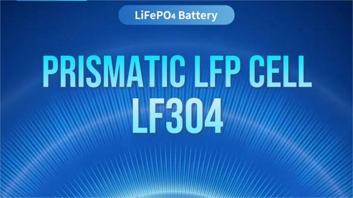 Introduction to EVE LF304 Lithium Iron Phosphate Battery  IMREN Battery
